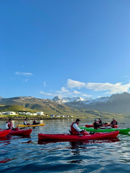 Picture 7 for Activity Grundarfjörður: Mt. Kirkjufell Daytime Kayaking Adventure
