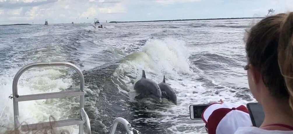 Picture 6 for Activity Destin: Dolphin Watch Cruise