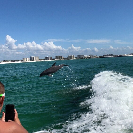 Picture 11 for Activity Destin: Dolphin Watch Cruise