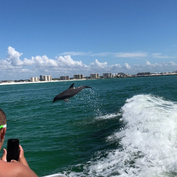 Picture 11 for Activity Destin: Dolphin Watch Cruise