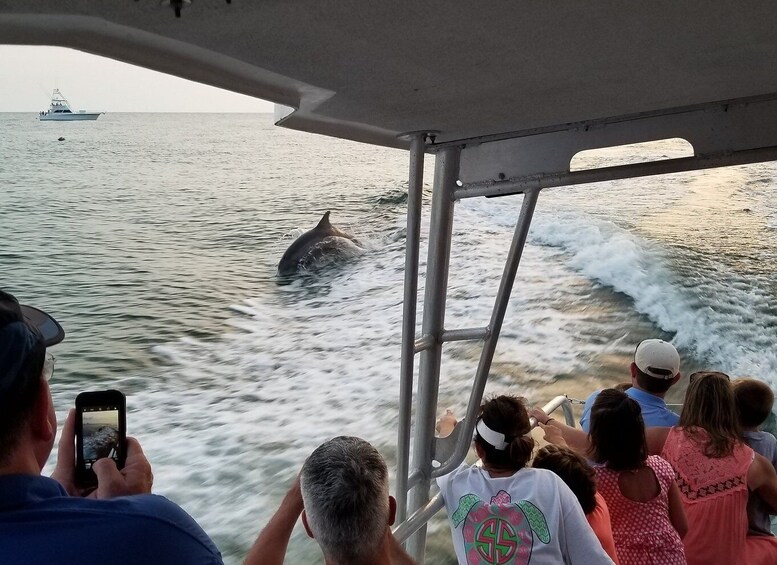 Picture 4 for Activity Destin: Dolphin Watching Cruise