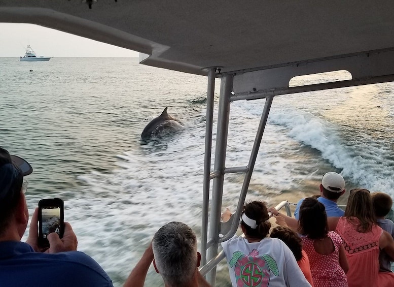 Picture 4 for Activity Destin: Dolphin Watching Cruise