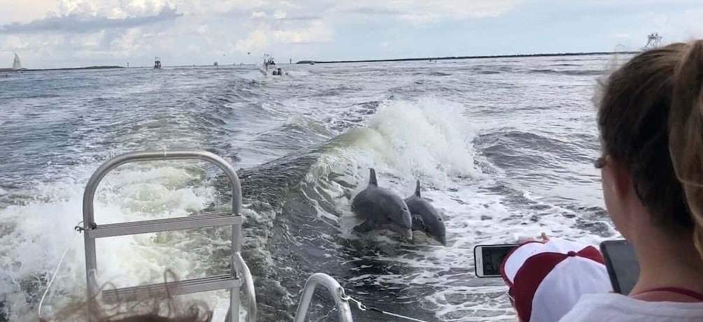 Picture 6 for Activity Destin: Dolphin Watching Cruise