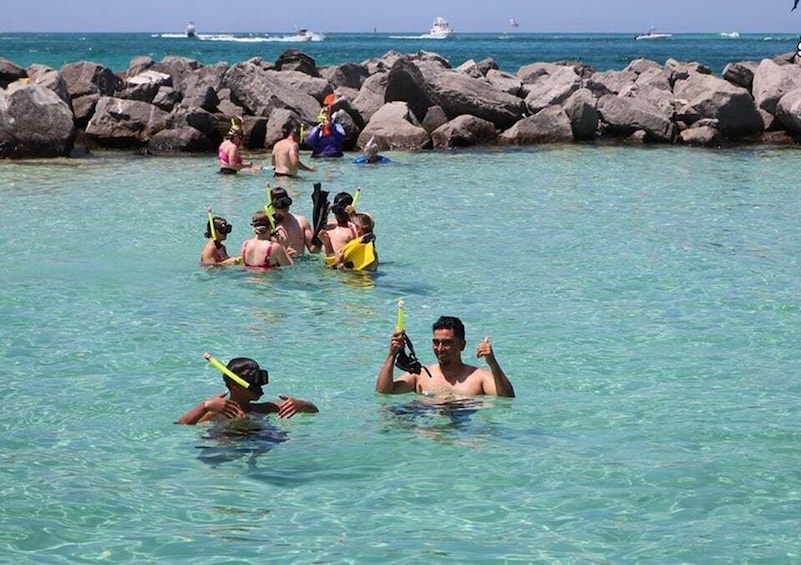Picture 6 for Activity Destin: Snorkeling and Dolphin Watching Cruise