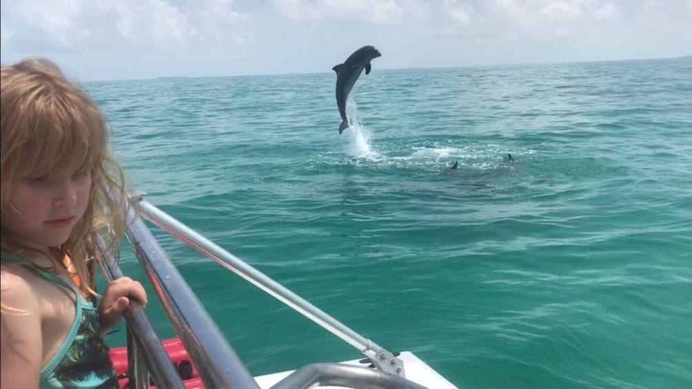 Picture 8 for Activity Destin: Snorkeling Cruise with 2 Stops and Dolphin Watching