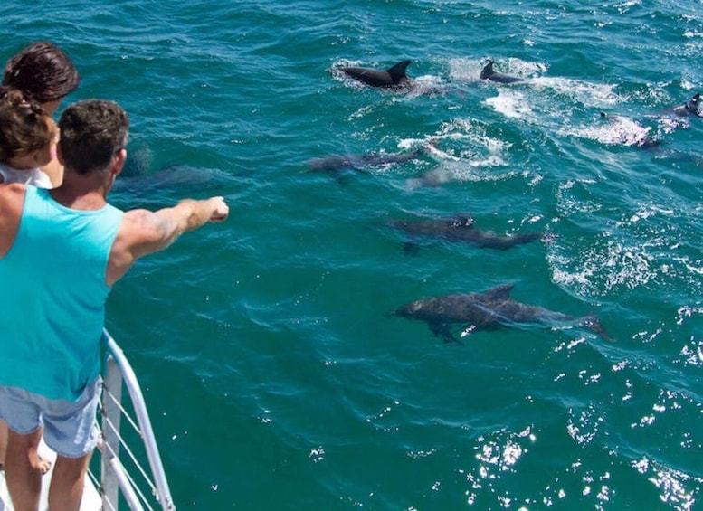 Picture 5 for Activity Destin: Snorkeling Cruise with 2 Stops and Dolphin Watching