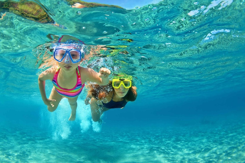 Destin: Snorkeling Cruise with 2 Stops and Dolphin Watching