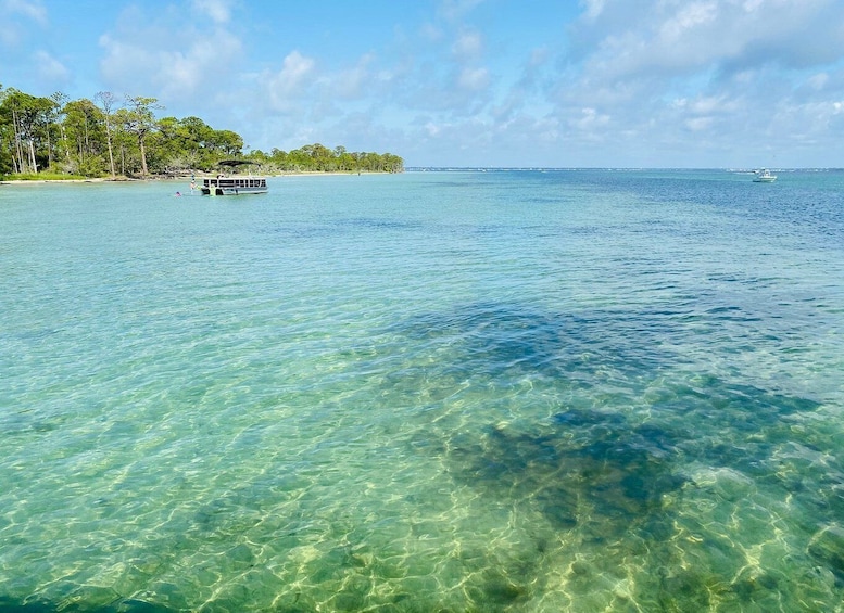 Picture 12 for Activity Destin: Snorkeling Cruise with 2 Stops and Dolphin Watching