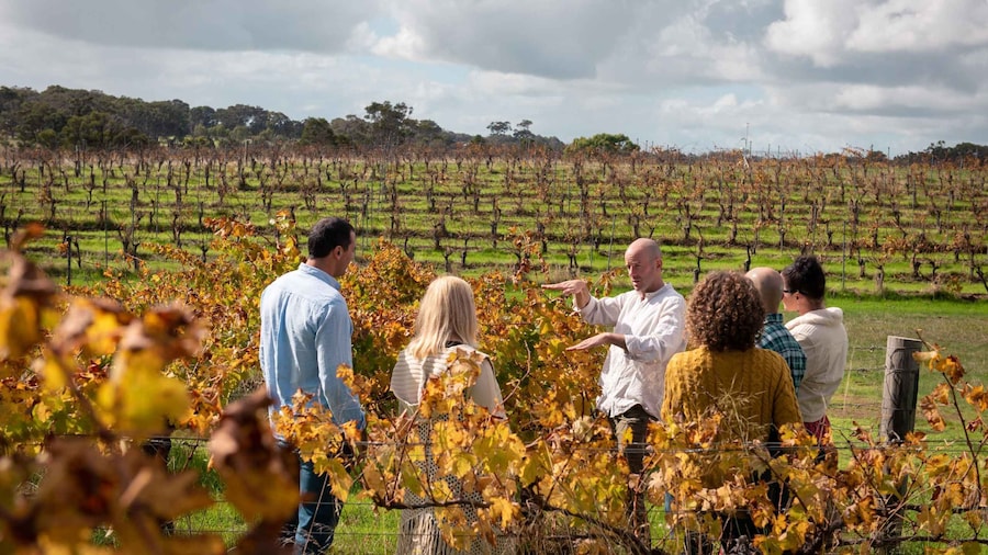 Margaret River: Food and Wine Tour with Tastings and Lunch
