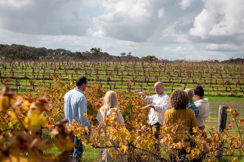 Margaret River: Food and Wine Tour with Tastings and Lunch