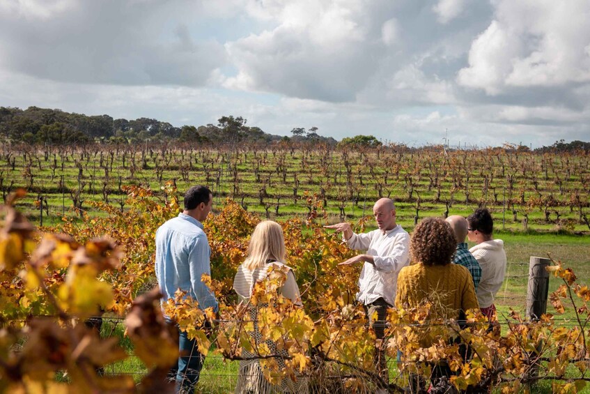 Margaret River: Food and Wine Tour with Tastings and Lunch