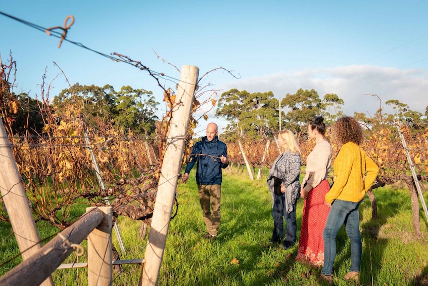 Picture 8 for Activity Margaret River: Food and Wine Tour with Tastings and Lunch