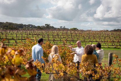 Margaret River: Food and Wine Tour with Tastings and Lunch
