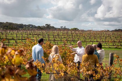 Margaret River : Visite de la nourriture et des vins avec dégustations et d...