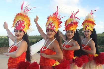 Oahu: Polynesisk dans och kulturell upplevelse med middag