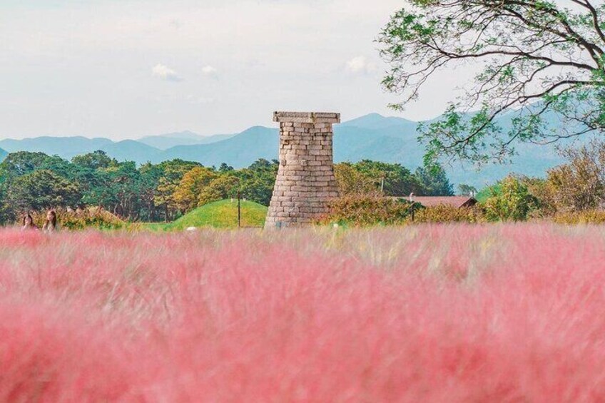 In the fall, you can see beautiful pink mully