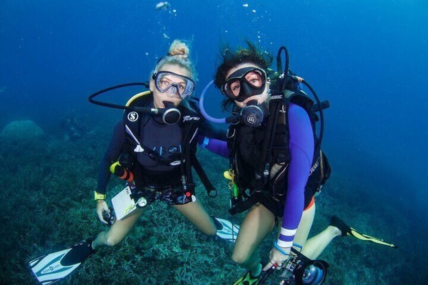 In Tioman Scuba Diving for Beginners 3 Hours