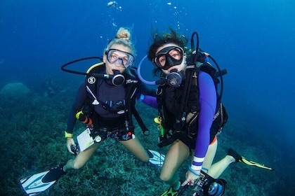 Tioman Scuba Diving for Beginners
