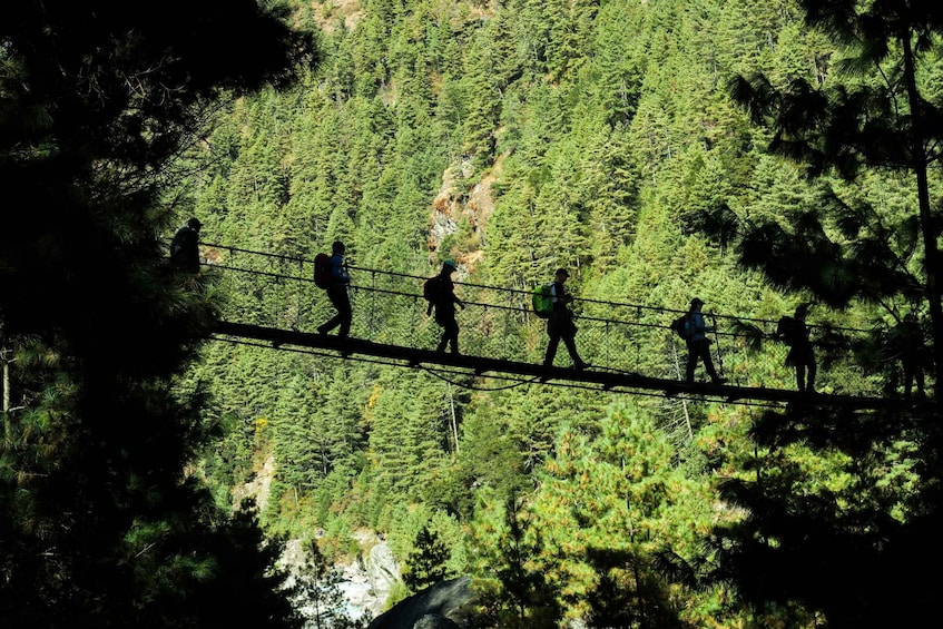 Picture 5 for Activity Pokhara: Suspension Bridge Private Tour- 30 Min Village Walk