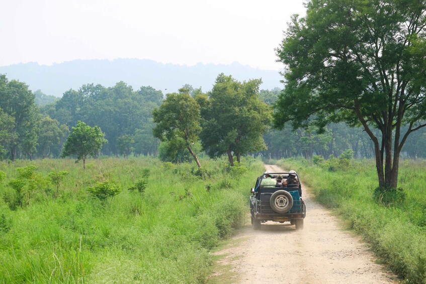 Picture 9 for Activity Kathmandu: 3-Day Bardiya Jungle Safari Tour by Flight