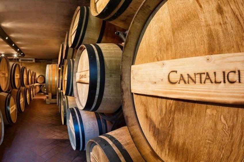 Wine tasting in the historic Cantalici winery