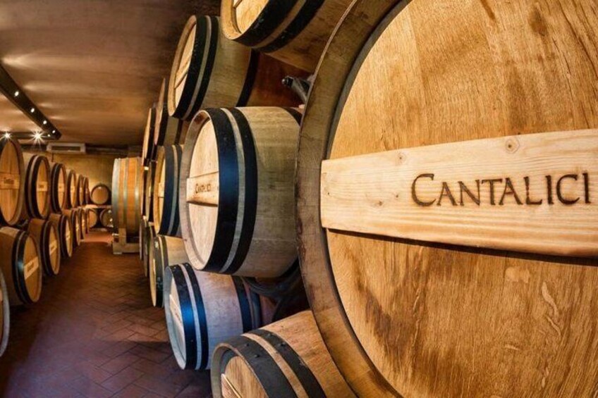 Wine tasting in the historic Cantalici winery