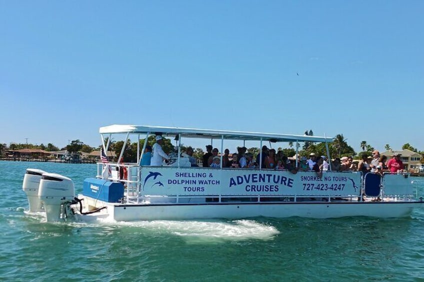 Dolphin and Shelling Tours Snorkeling Tours Private Charters