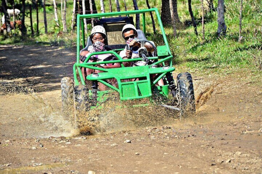 Paradise Experience in Punta Cana