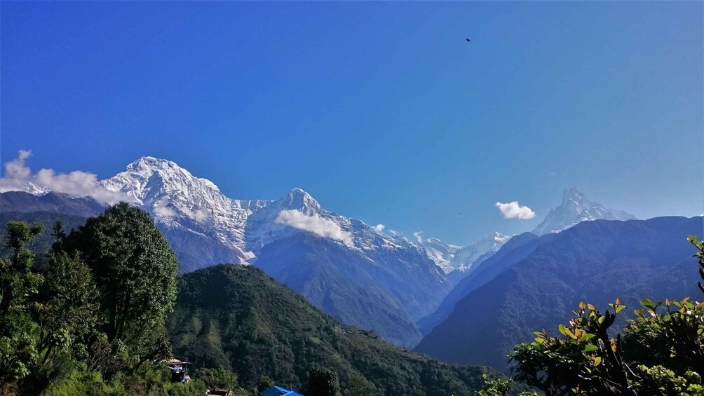 Picture 5 for Activity Pokhara: Full-Day Ghandruk Village Guided Private Jeep Tour