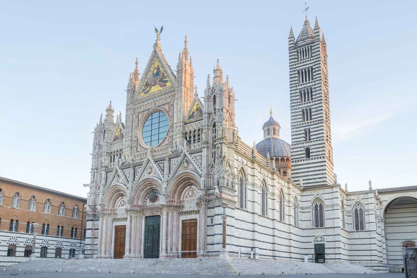 Picture 2 for Activity Siena: Private City Highlights Walking Tour