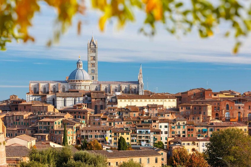 Picture 1 for Activity Siena: Private City Highlights Walking Tour