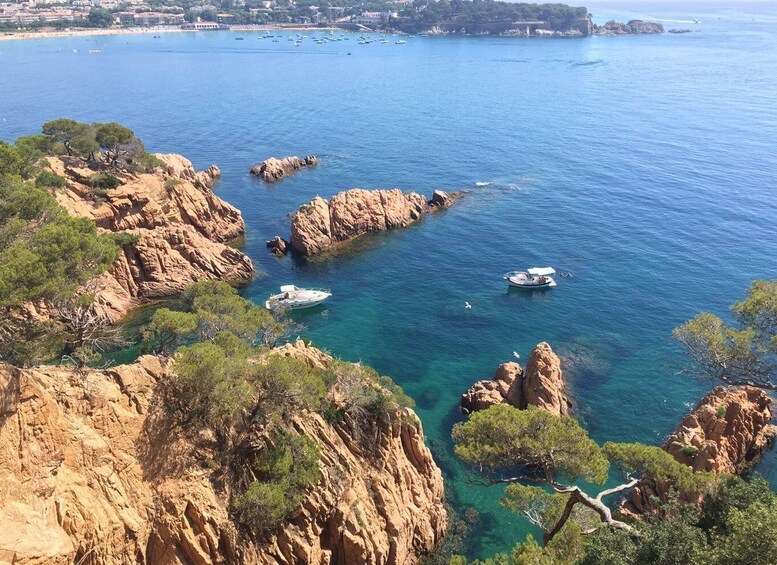 Picture 5 for Activity From Barcelona: Costa Brava Trekking and Kayaking Tour