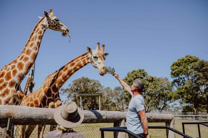 Hunter Valley: Hunter Valley Wildlife Park Entry Ticket