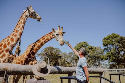 Hunter Valley: Hunter Valley Wildlife Park Entry Ticket