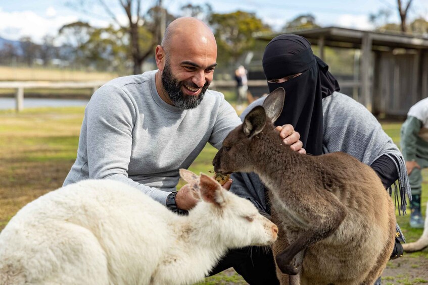 Picture 2 for Activity Hunter Valley: Hunter Valley Wildlife Park Entry Ticket