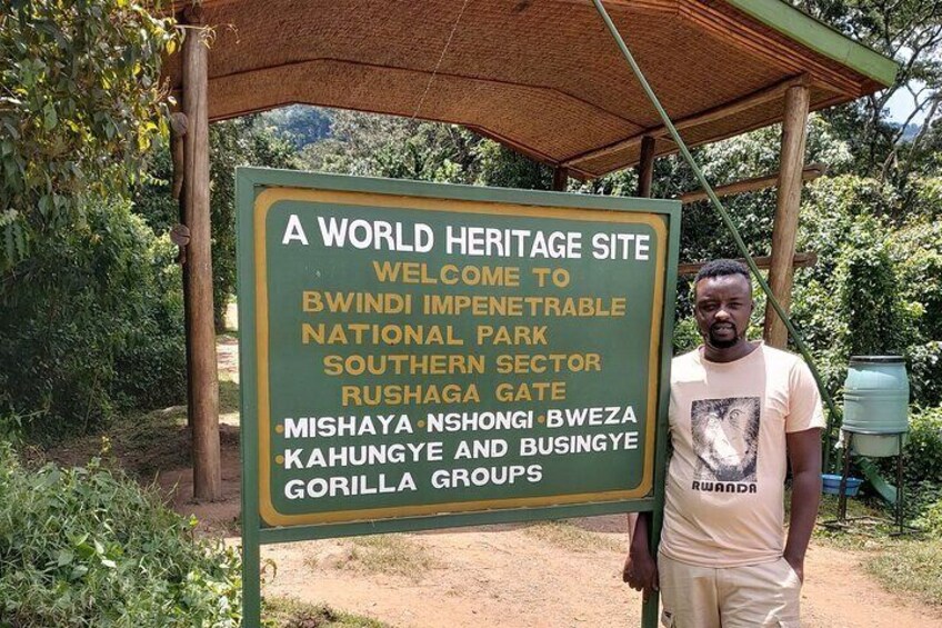 2-Day Private Gorilla Trekking in Uganda