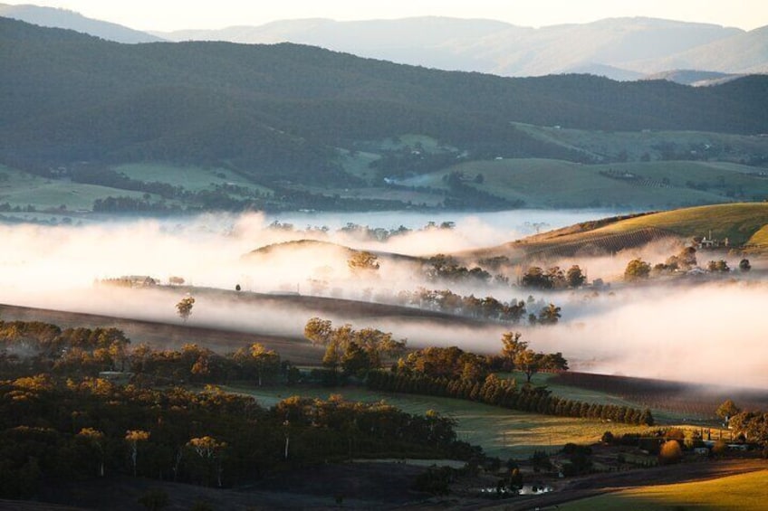 Full Day Private Yarra Valley Wine Tour