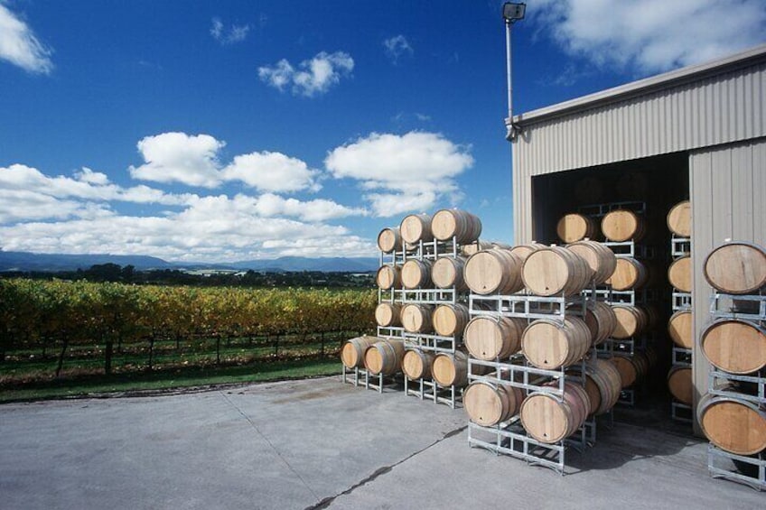 Full Day Private Yarra Valley Wine Tour