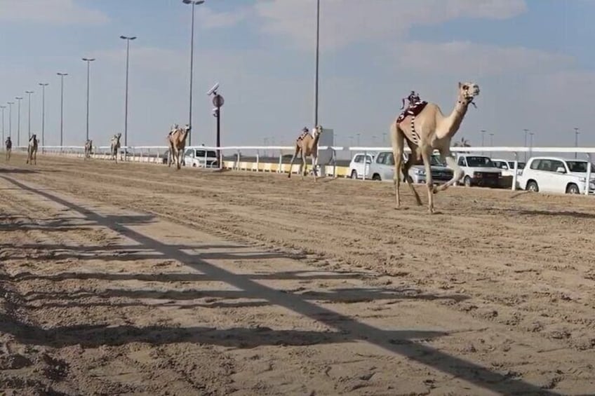 West Of Qatar, Mushroom Rocks, Camel Racing Track, Richard Serra 