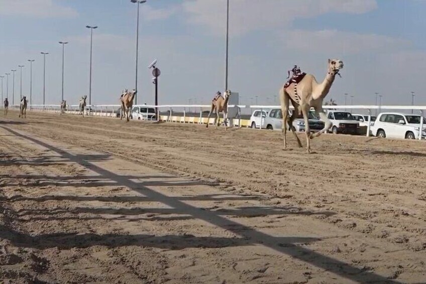 West Of Qatar, Mushroom Rocks, Camel Racing Track, Richard Serra