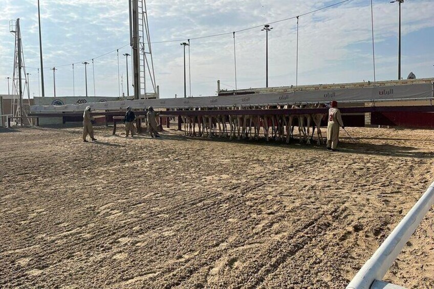 West Of Qatar, Mushroom Rocks, Camel Racing Track, Richard Serra 