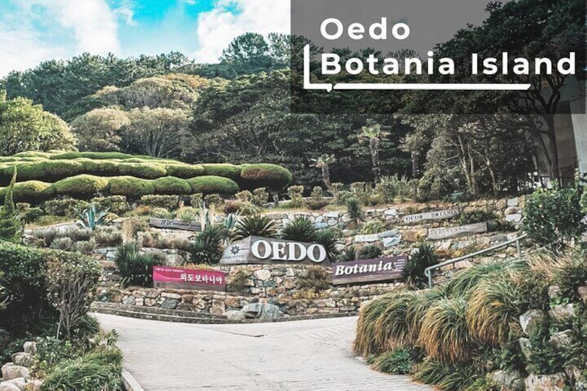 Oedo Botania island is a combination of botani (plant) and toopia (paradise), which means a paradise for plants, and the entire island is adorned with gardens and arboretums.