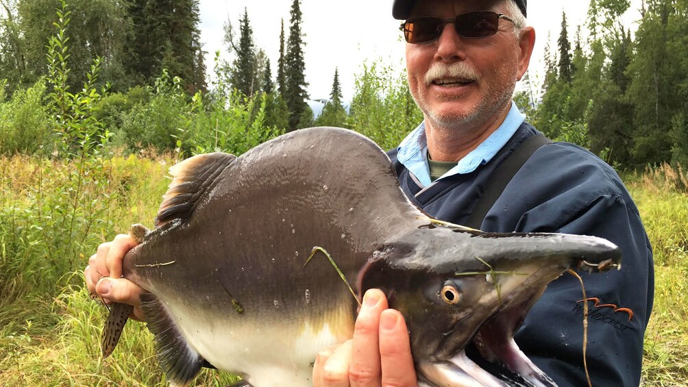 Fisherman holds up salmon for picture in Denali National Park
