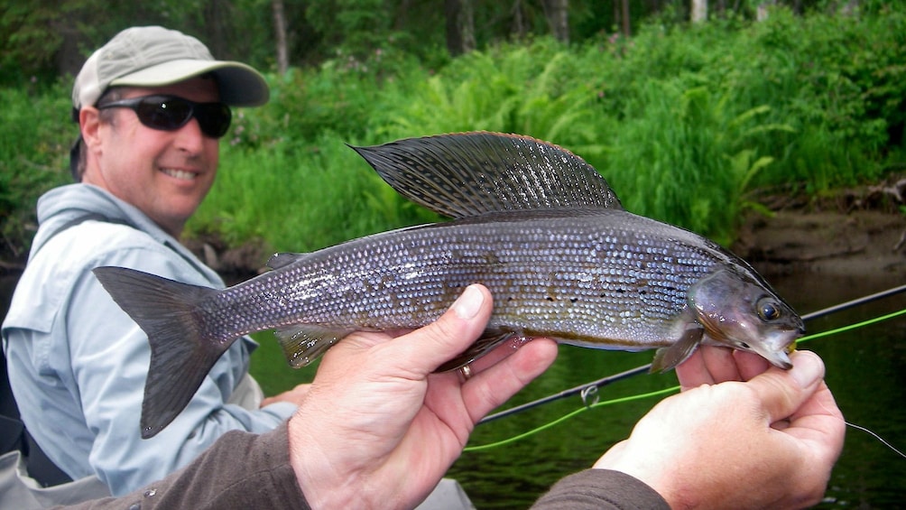 Couple of fishing men with caught fish in Alaska