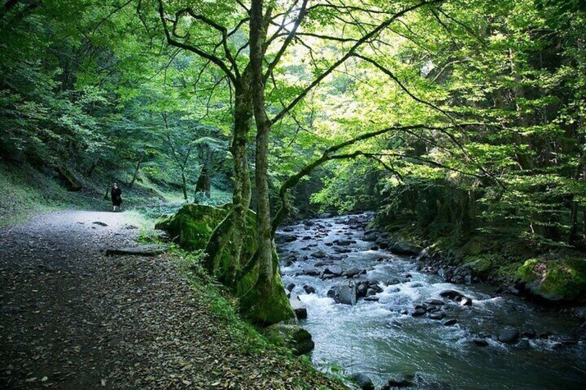 Borjomi, Rabati, and Vardzia Guided Day Trip