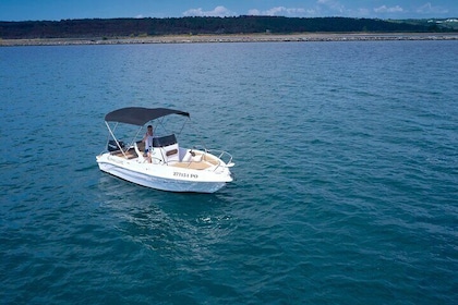 Private Panorama with Snorkelling and Dolphins Tour in Poreč