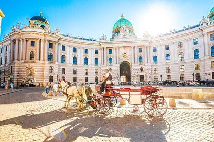 Tour durch Wien ohne Anstehen durch Sisi-Museum, Hofburg und Gärten