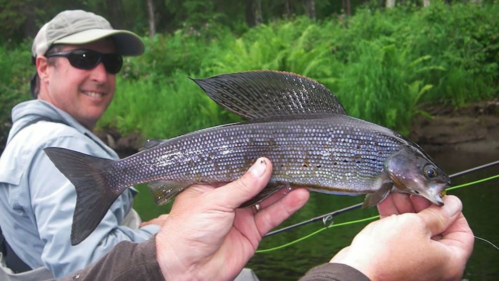 Small fish caught on fishing trip in Denali National Park