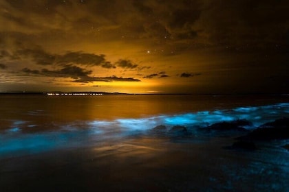 Phang Nga Bay Private Bioluminescence and Sea Canoeing Tour