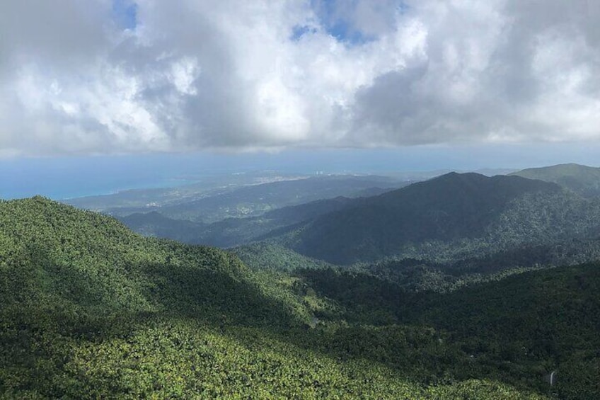 El Yunque National Park Rain Forest